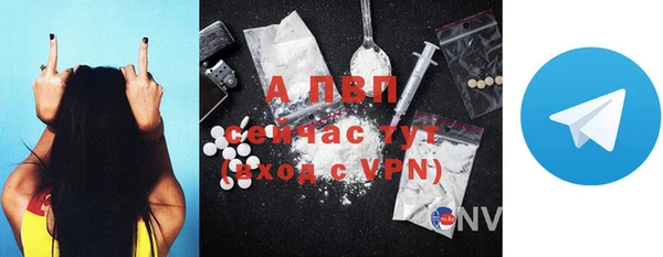 прущие грибы Зерноград