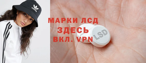 прущие грибы Зерноград
