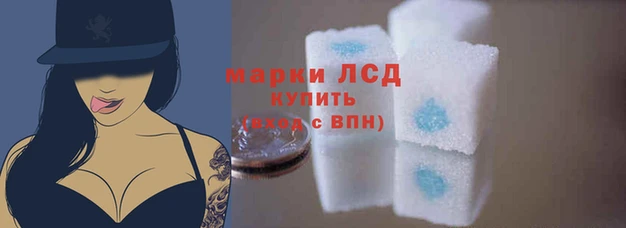 прущие грибы Зерноград