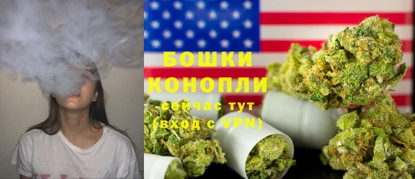 прущие грибы Зерноград