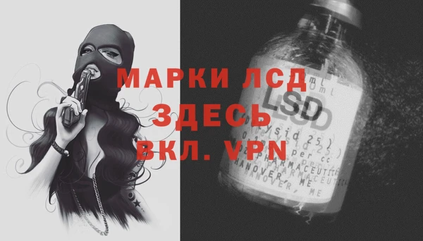 прущие грибы Зерноград