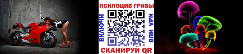 Купить где  Елабуга  Галлюциногенные грибы Magic Shrooms 